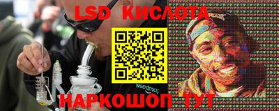 ALPHA PVP Гатчина