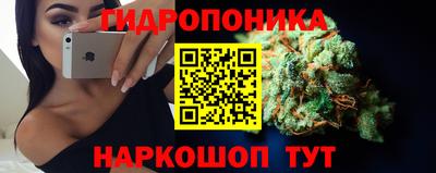 ALPHA PVP Гатчина