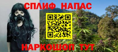 ALPHA PVP Гатчина