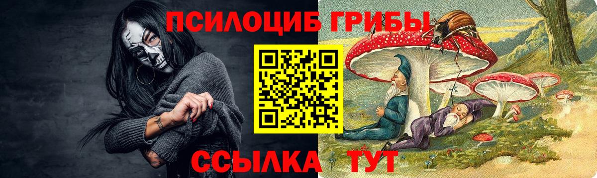Ростов Великий  Галлюциногенные грибы прущие грибы  Вход с VPN  Псилоцибиновые грибы Magic Shrooms 
